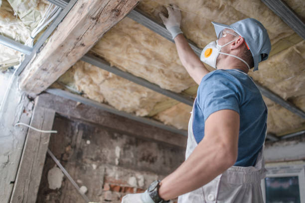 Best Cellulose Insulation in Tanglewilde, WA