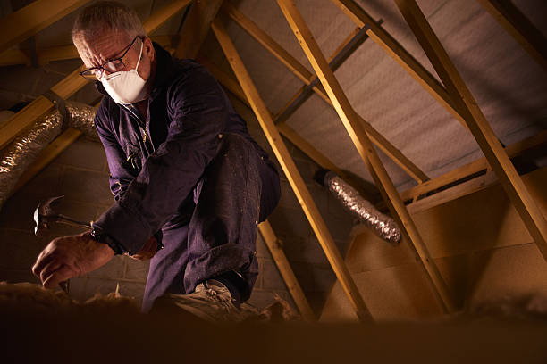 Best DIY Insulation Kits and Guidance in Tanglewilde, WA